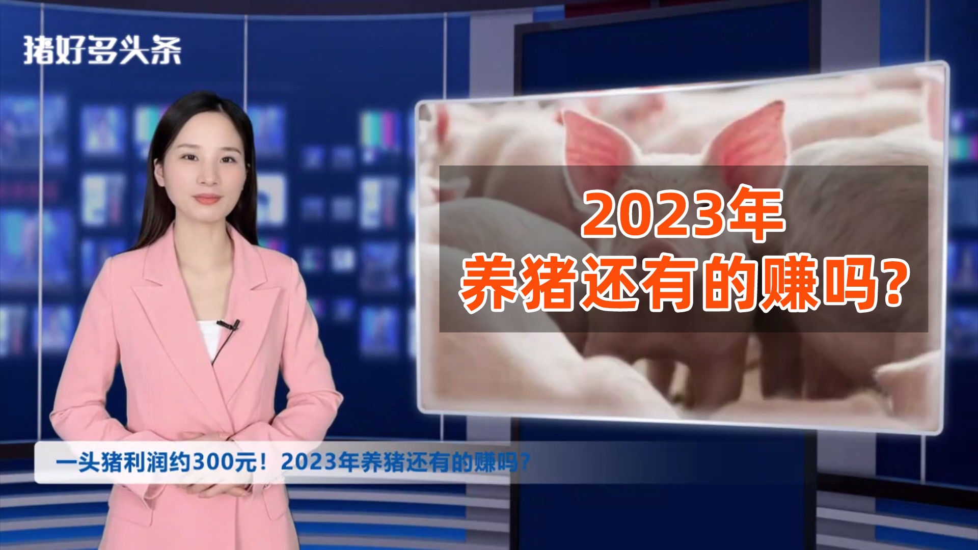 2022年一头猪利润约300元！2023年养猪还有的赚吗？预测来了！