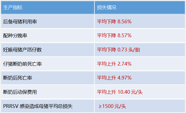 猪场暴发PRRS后损失情况统计