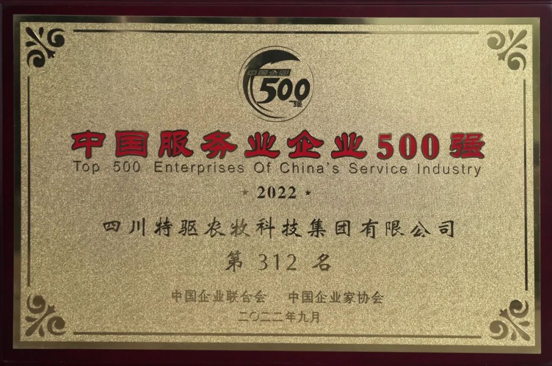 2022年中國服務業企業500強