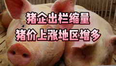 1月2日生猪价格：元旦假期最后一天，多地猪价小幅上涨，但整体仍呈现下跌态势！