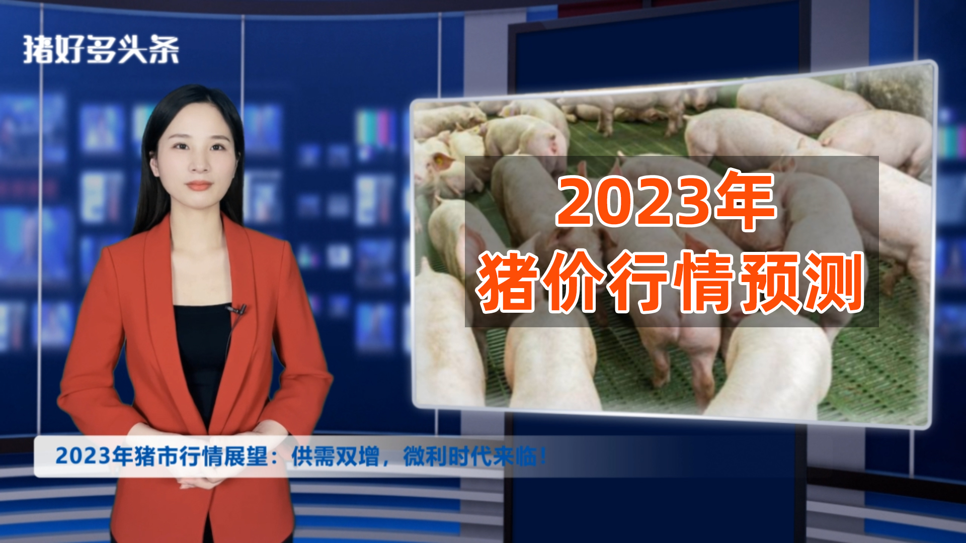 4388万头！能繁母猪存栏连增6个月！2023年猪价能创惊喜吗？