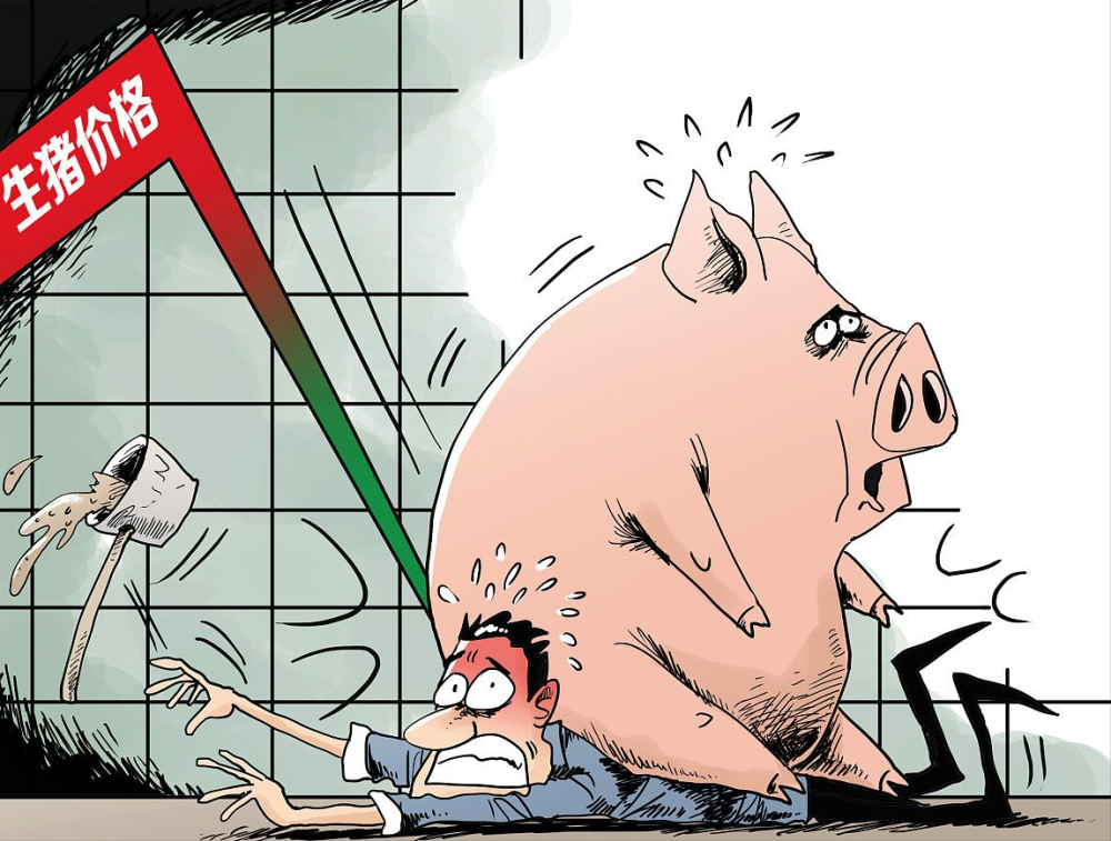 生猪行情跌破“前低”，猪价会跌破15元/公斤吗?