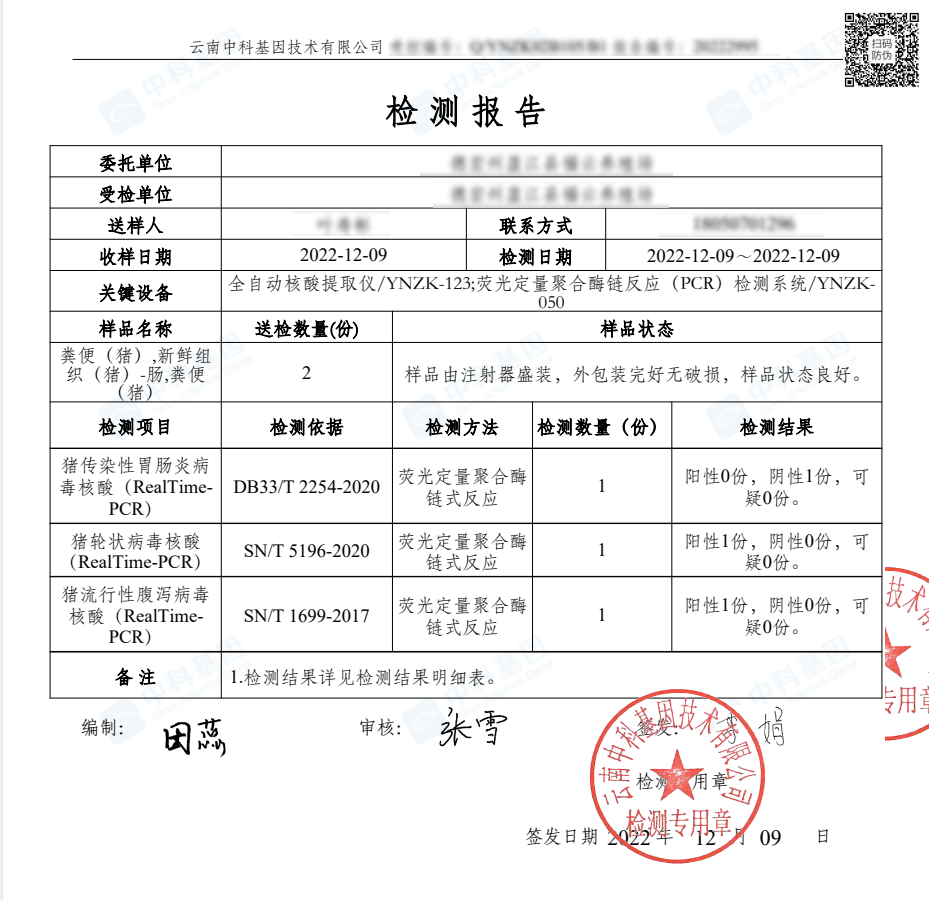 检测报告