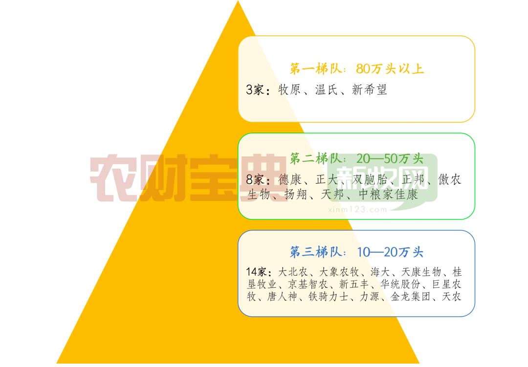 生猪养殖三梯队
