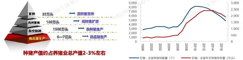 种猪产量值