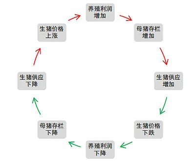 猪周期