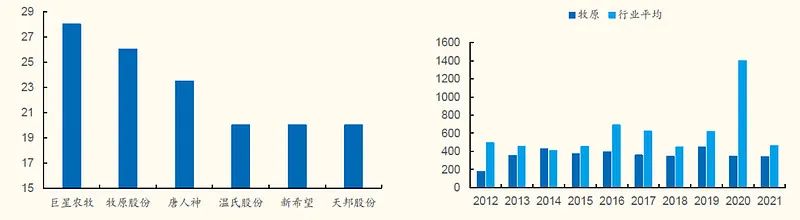 养猪成本