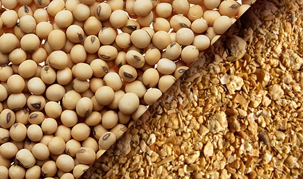 2023年豆粕市場展望：豆粕價格重心將不斷下移