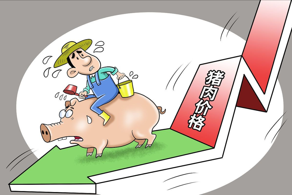 猪价恶化“插翅”下跌，蛋价“节节涨”，市场发生了啥？