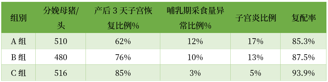 母猪产后3天子宫恢复比例