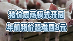 1月15日生猪价格：头均亏损超300元，年前上涨困难，养殖户的春天何时到来？