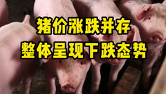 1月16日生猪价格：小年已过，官方建议屠企增加库存，年前猪价回升有望？