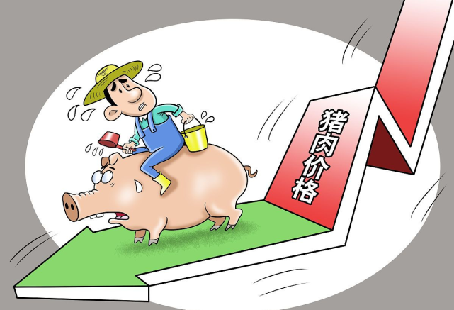 猪价大跌50.4%，养猪亏损陡增，年后收储或将大势所趋？