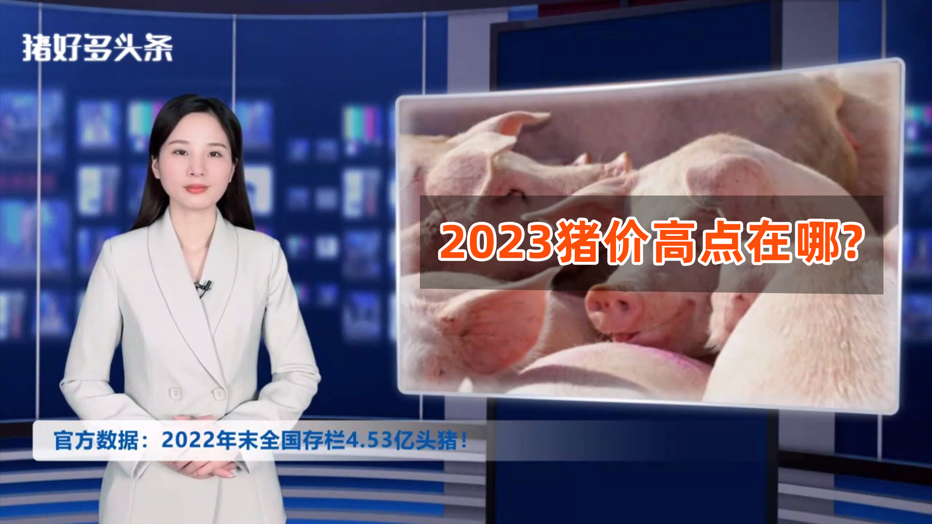 官方数据：2022年末全国存栏4.53亿头猪！2023猪价高点在哪？