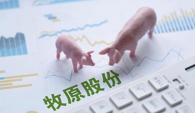 秦英林质押牧原股份6800万股用于融资，占总股本1.24%！