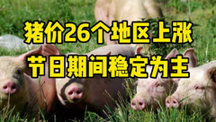 1月26日生猪价格：大年初五迎财神！猪价呈现上涨态势，市场大稳小动！