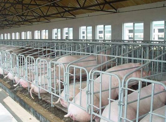 有地、有钱，国企“杀入”养猪业，国企为何爱上养猪？