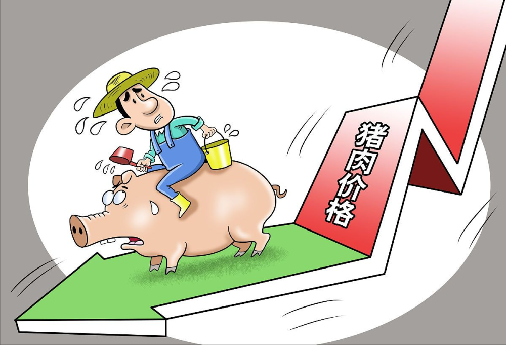 年后猪价要“断崖式”下跌吗？答案或许与您想得不一样！