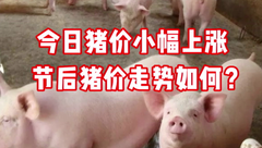 1月28日生猪价格：大年初七多地开工，猪价呈现小幅上涨态势！