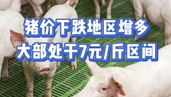1月29日生猪价格： 猪企开工供应增加，猪价涨势微弱，或有下挫风险?