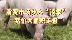 1月30日生猪价格：春节假期过后消费回落，猪价大幅走低，还有上涨希望吗？