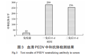血清PEDV 中和抗体检测结果