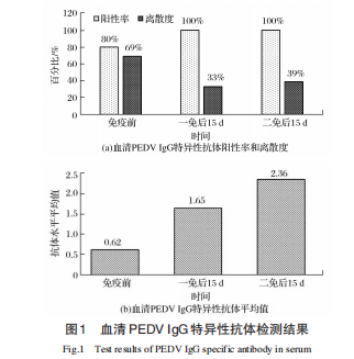 血清PEDV IgG 特异性抗体检测结果
