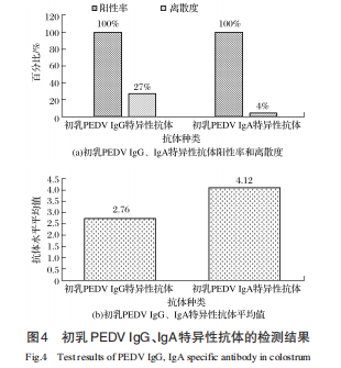 初乳PEDV IgG、IgA 特异性抗体的检测结果