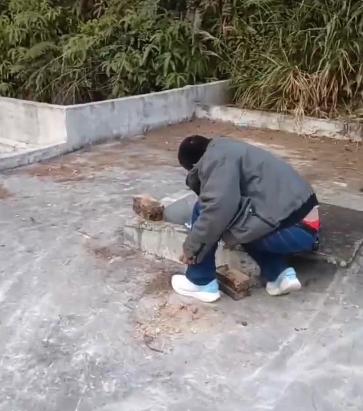 广东佛山一养猪场丢死猪污染水源，涉事猪场已停业整顿！