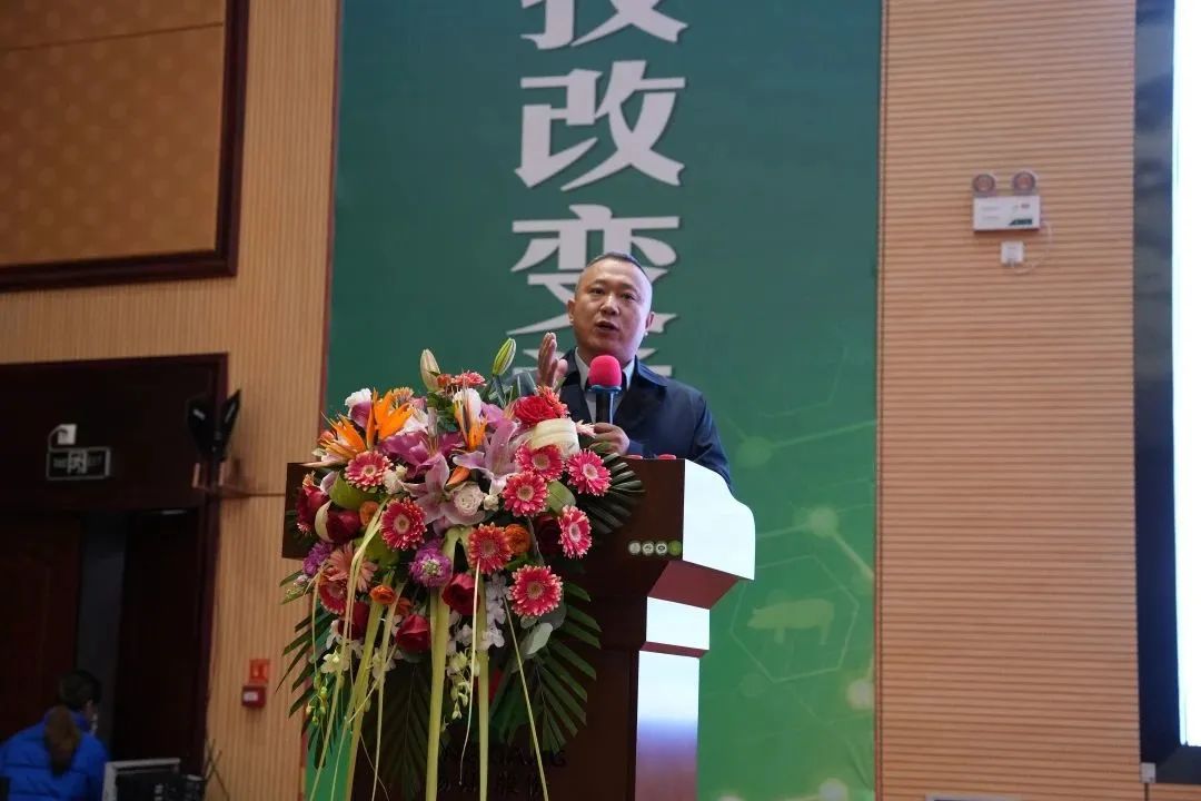 孙海清