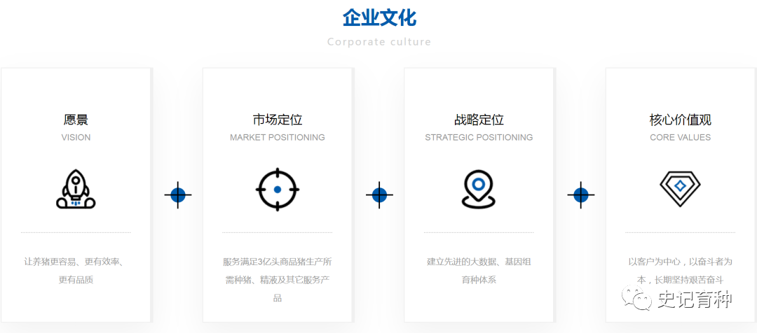 企业文化