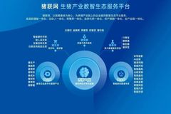 护航农业新发展，农信数智入选《解码全球标杆城市》案例！