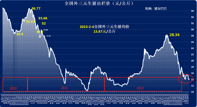 豬價連跌,仔豬行情卻走強!屠宰場抄底反撲,豬價要漲了?