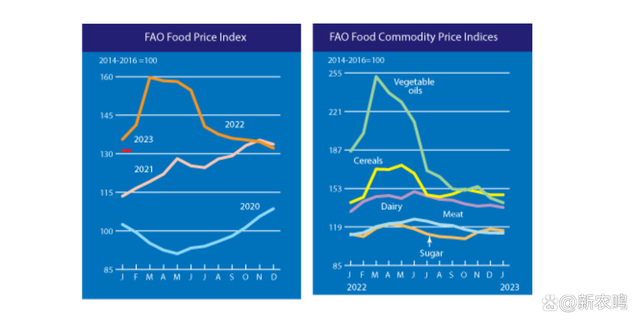 全球食品价格指数