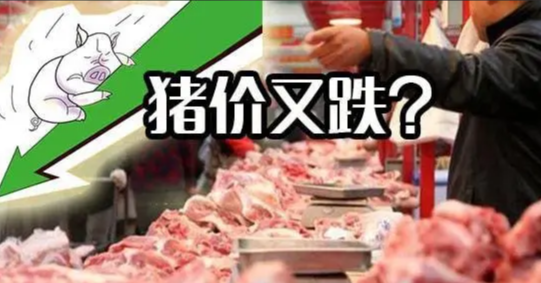 安徽猪肉价格持续下跌，较上月同期下降10%以上！