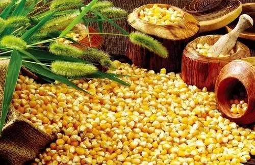 2023年02月06日全国各省市玉米价格行情，年后玉米卖压风险较大，玉米价格阶段性“易跌难涨”？
