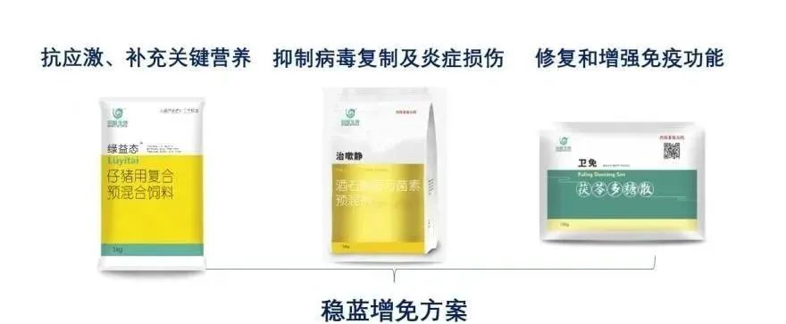 稳蓝增免方案