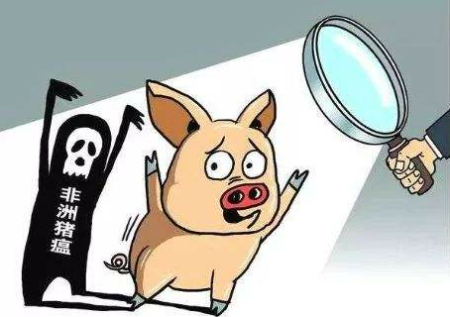 日本政府考虑在机场等处彻底采取边境措施以阻止非洲猪瘟传入危险