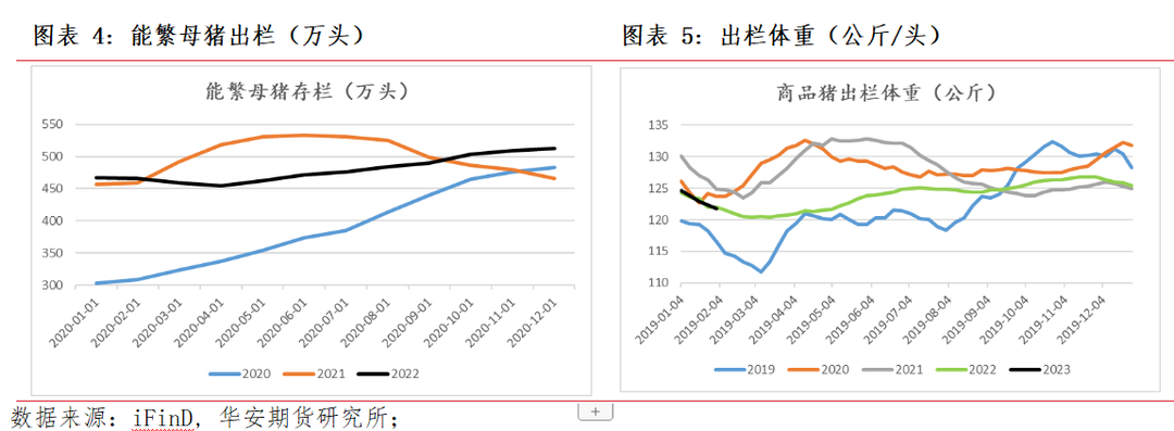 收储即将启动，对猪价影响到底多大？ 后市会涨？