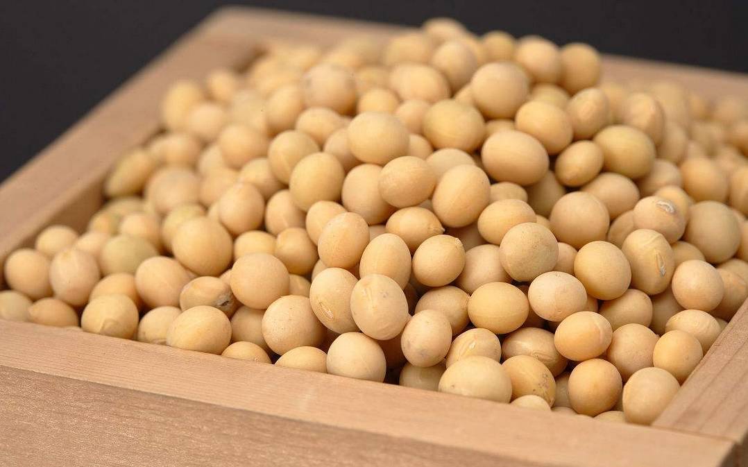 2023年02月12日全国各省市豆粕价格行情，饲料企业刚需不足，豆粕价格小幅走低！
