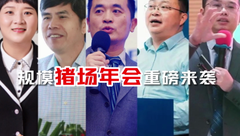 实力养猪，干货满满！扬翔饲料规模猪场年会重磅来袭，现场惊喜抢先看！