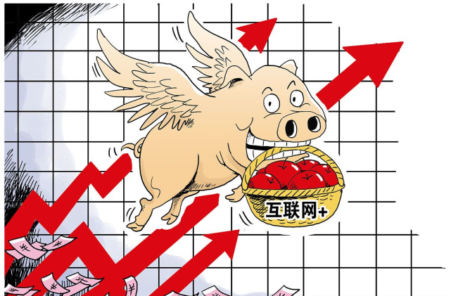 收储预期增强，猪价普遍涨入“7元时代”！