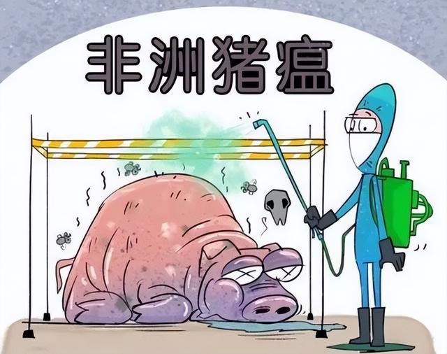 非洲猪瘟