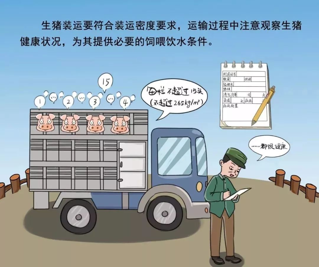 非瘟防控
