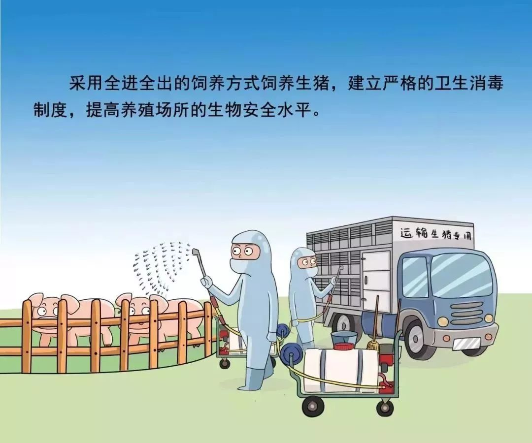 非瘟防控