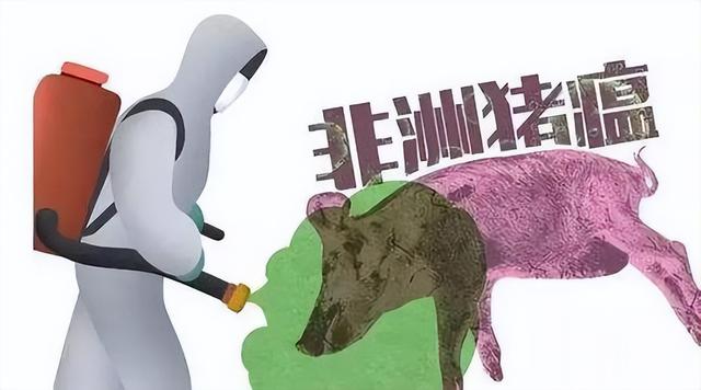 非洲猪瘟