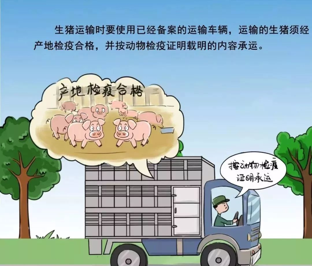 非瘟防控