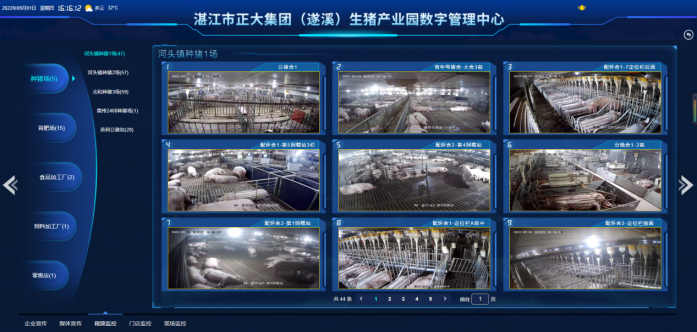 记录猪的语言，“读懂”猪语，疫病防控麦克风......这是湛江正大集团生猪产业园的一幕幕场景