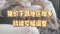 2月17日生猪价格：注意！今日猪价小幅下跌，17个省市价格回落！