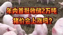 2月18日生猪价格：2万吨！年内首批收储来了，猪价是否能趁势上涨？